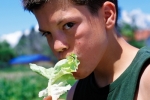lettucelove