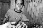 worm-boyfinallightsharpwebgallery